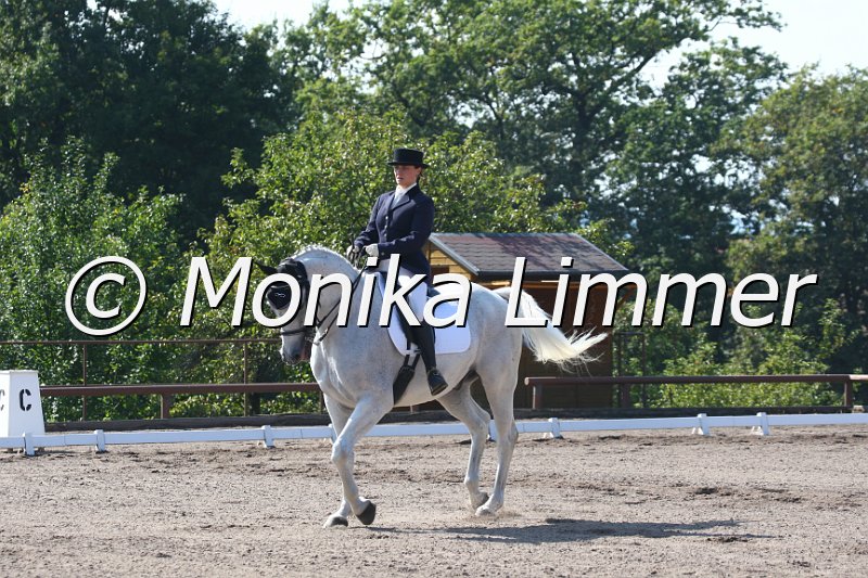 009M0108_Sam_Dressur L.JPG